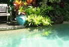 Buderimswimming-pool-landscaping-3.jpg; ?>